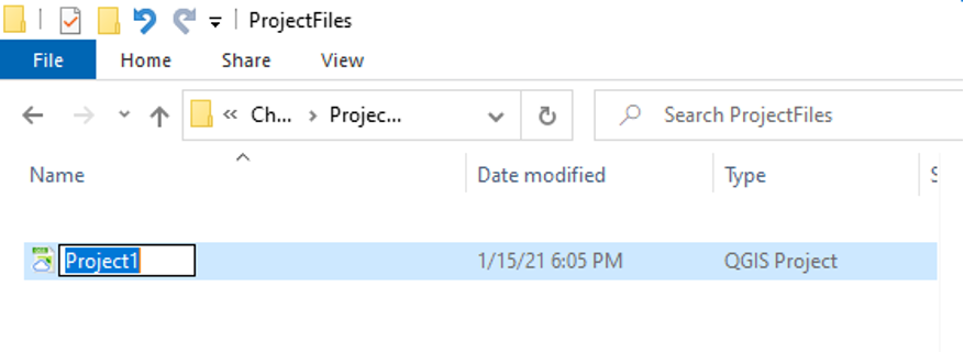 Figure 2.4. This shows the file name being changed to “Project1”.