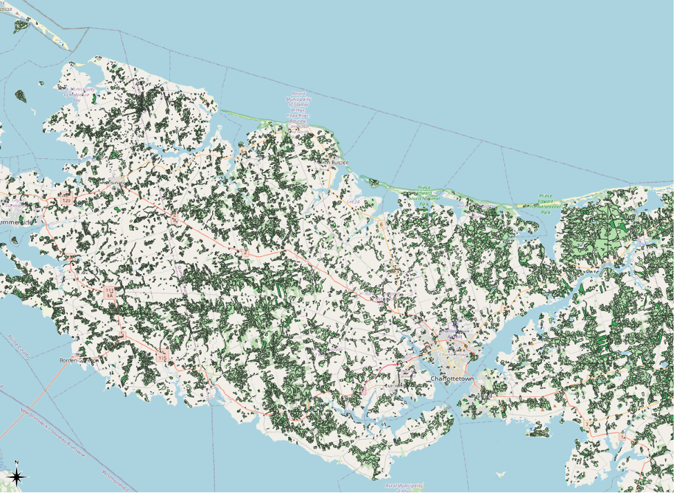 Figure 2.18. The map with the new changes added to it. Like the previous map, it shows central PEI with forest land use parcels visible in darker green, however central PEI is now white with other aspects of the basemap such as roads now visible in different colours.