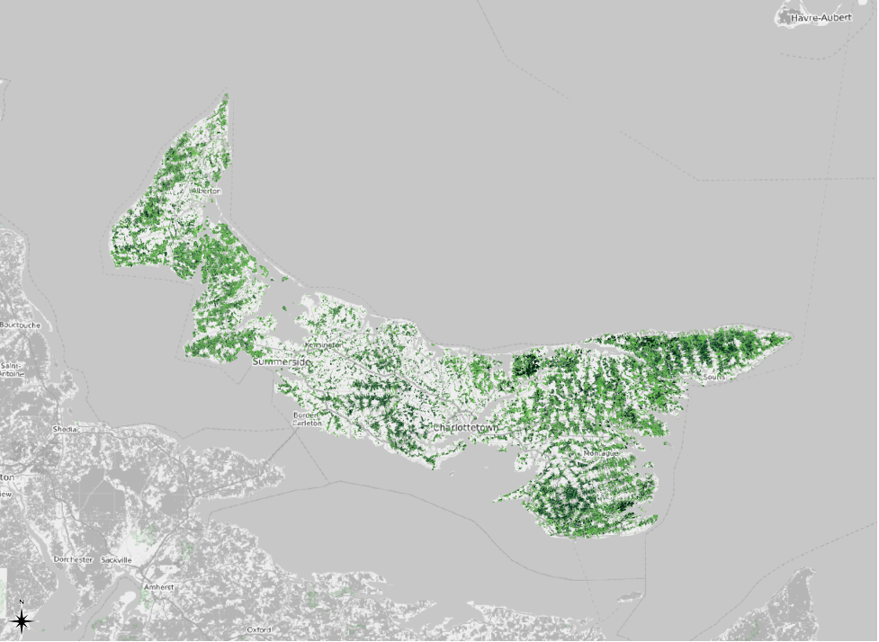 Figure 2.49. Updated map with greyscale base map providing contrast to the green forest parcels.