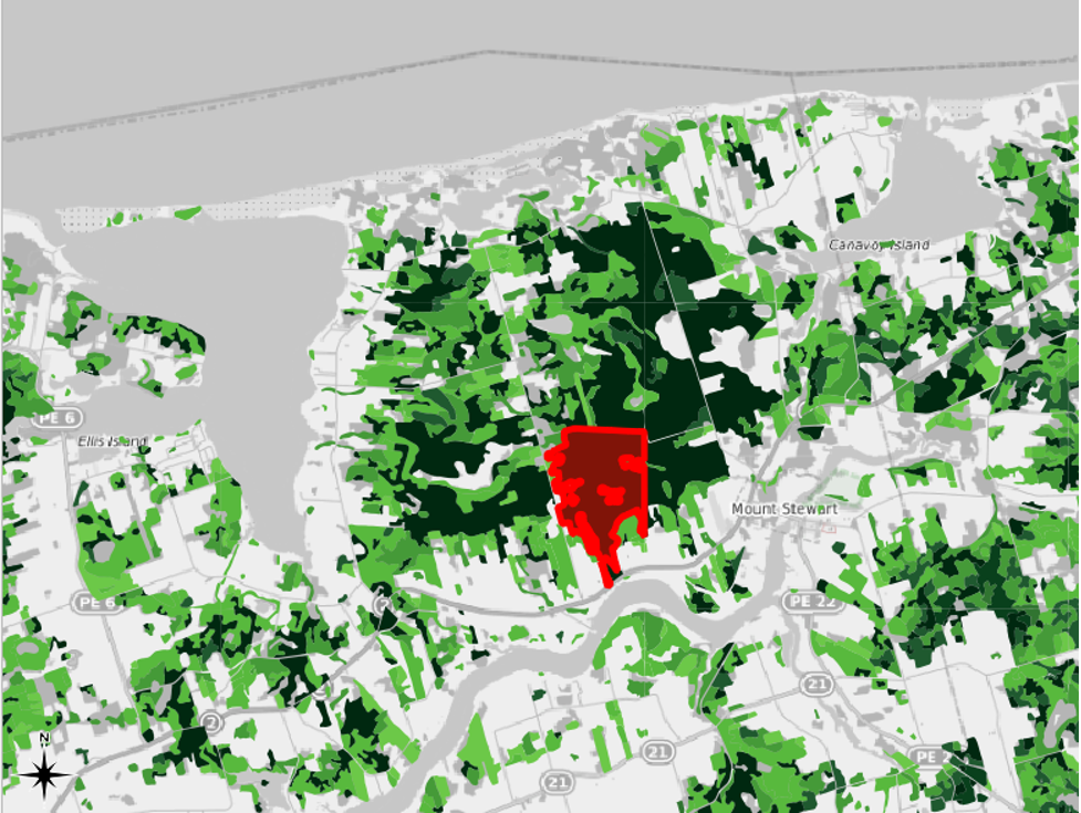 Figure 2.52. Mount Stewart area with a selected forest polygon highlighted in an irregular red shape.