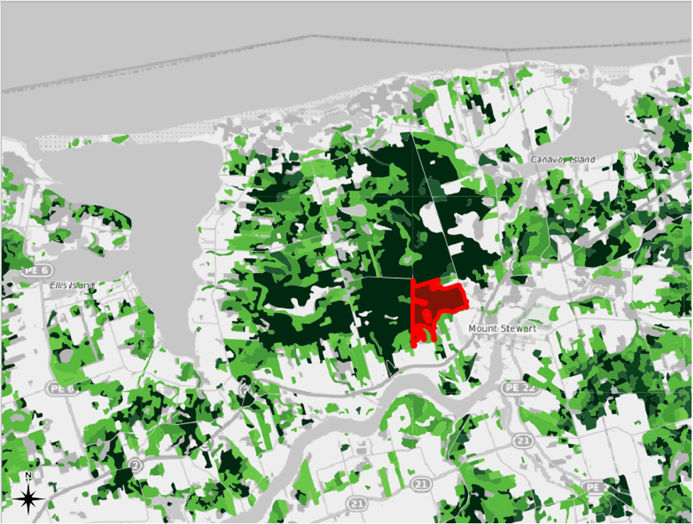 Figure 2.53. A different forest Feature to the east of Mount Stewart is selected and Highlighted in an irregular red shape.