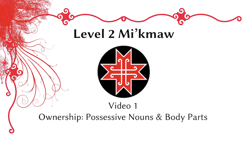Level 2 Mi'kmaw - Video 1: Ownership: Possessive Nouns and Body Parts