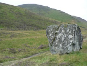 A large rock rests in a grassy field, illustrating the concept of static equilibrium and net forces acting on it