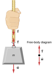 A rope transmitting equal and opposite tension forces between a hand and a hanging mass. Also a free-body diagram showing upward tension vec T and downward weight vec w