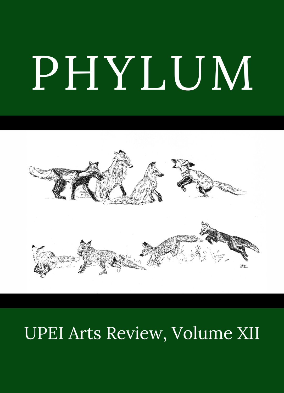 Cover image for Phylum