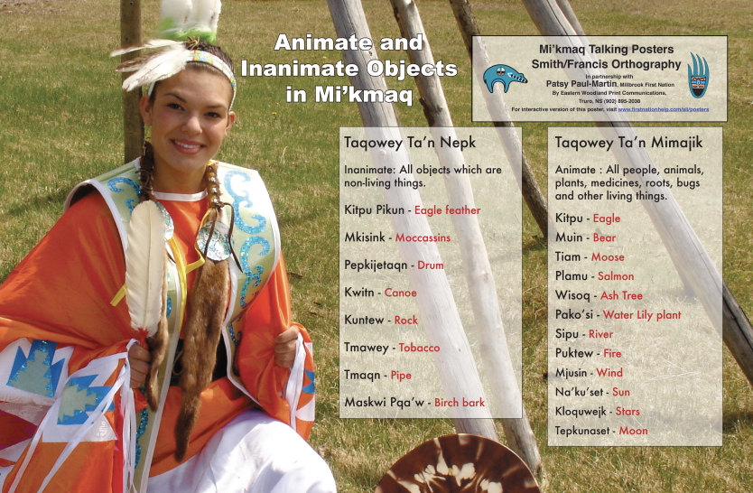 Poster: Animate and Inanimate Objects in Mi'kmaq