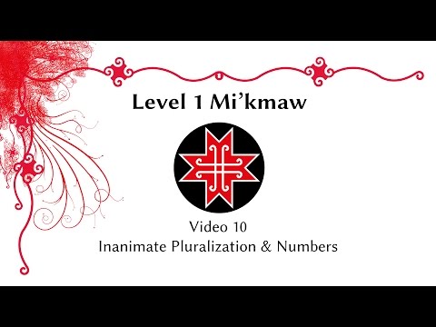 Level 1 Mikmaw: Video 10 - Inanimate Plurals
